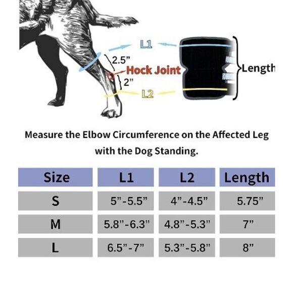 Dog Rear Leg Knee Braces - Pair - Hock Joint Wrap Support Injuries Size Medium - Picture 5 of 10